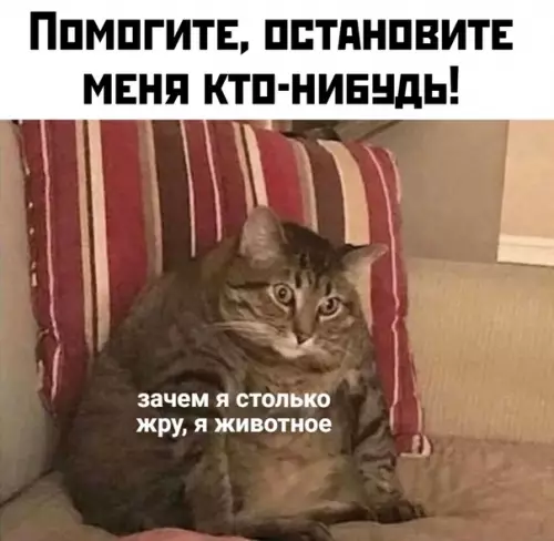 Смешная картинка №437256