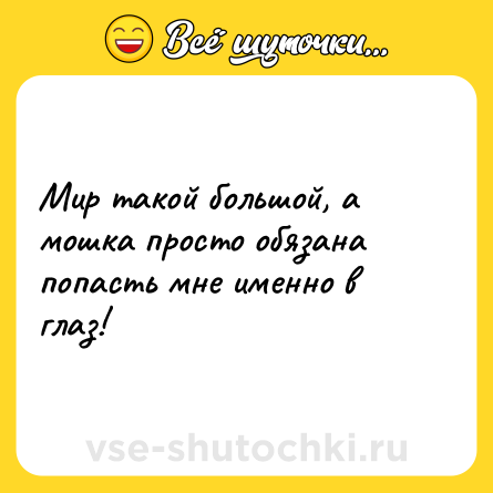 Шутка: Мир такой большой, а мошка просто обязана попасть мне именно в глаз!