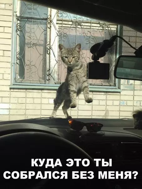 Смешная картинка №199344