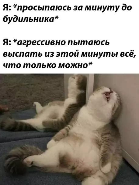 Смешная картинка №473010