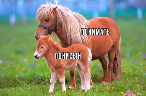 Смешная картинка №735550 Понимать