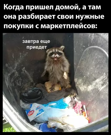 Смешная картинка №760449