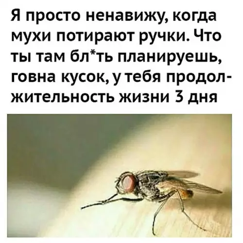 Смешная картинка №282950