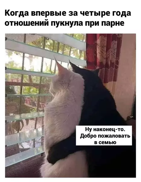 Смешная картинка №613076 Hoвый этaп oтнoшeний