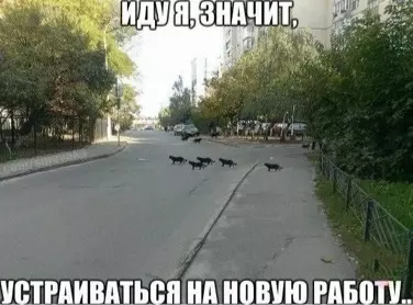 Смешная картинка №551892