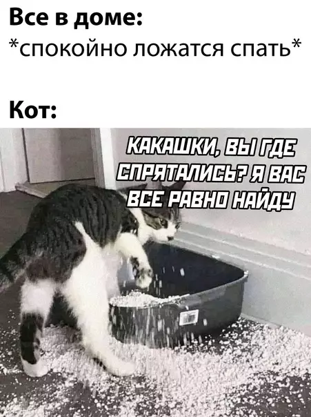 Смешная картинка №585000