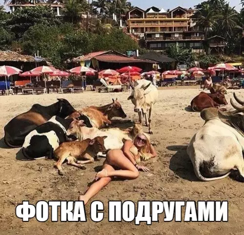 Смешная картинка №283872