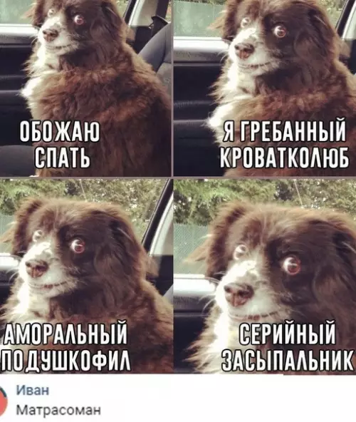 Смешная картинка №497531