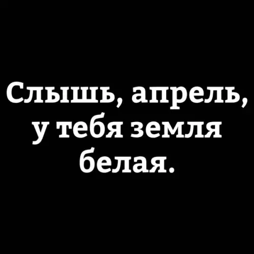 Смешная картинка №262865 1 апреля