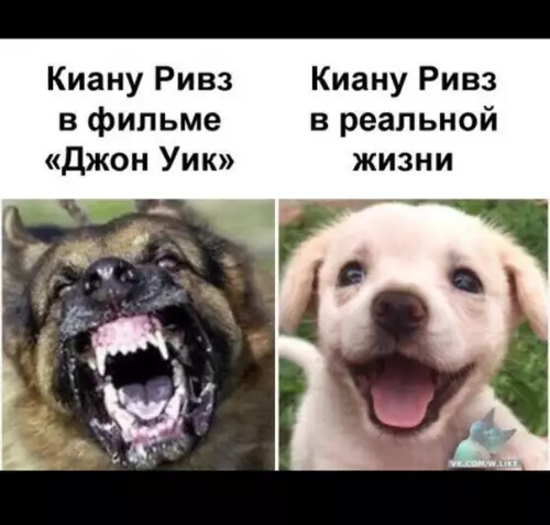 Смешная картинка №359805