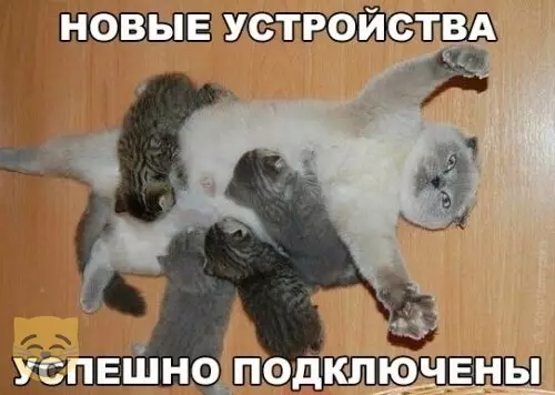 Смешная картинка №383074 #приколы #картинки #мемы ?