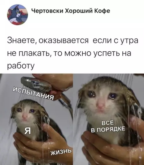 Смешная картинка №430765