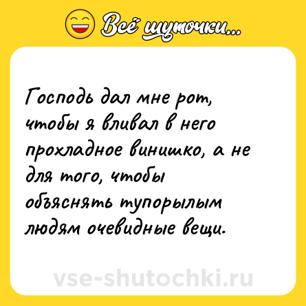 Шутка: Господь дал мне рот, чтобы я вливал в него прохладное винишко, а не для того, чтобы объяснять тупорылым людям очевидные вещи.