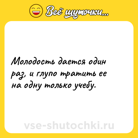 Шутка: Молодость дается один раз, и глупо тратить ее на одну только учебу.