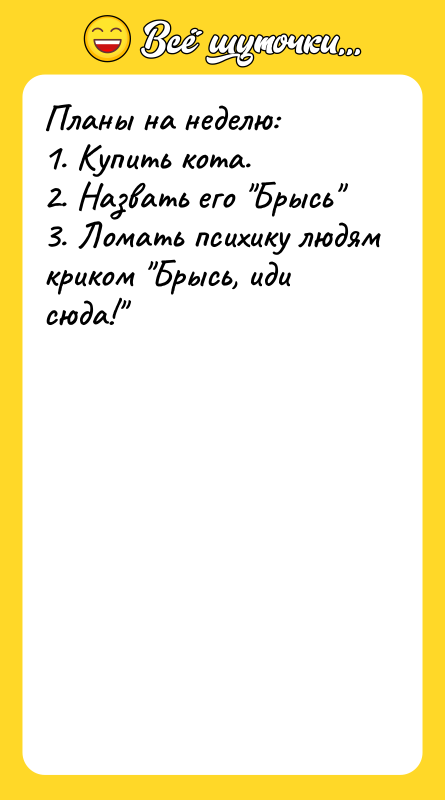 Планы на неделю: 1. Купить кота. 2. Назвать его Брысь