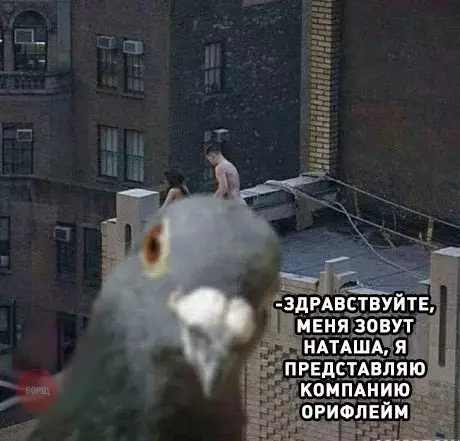 Смешная картинка №268194