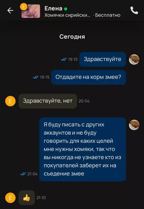 Смешная картинка №705968 Игры разума