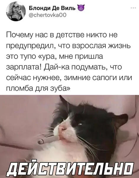 Смешная картинка №597126