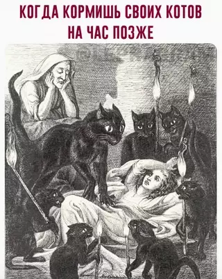 Смешная картинка №681030