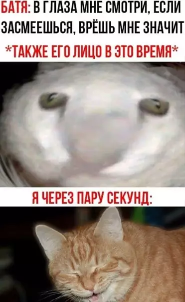 Смешная картинка №548769