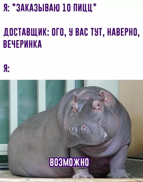 Смешная картинка №578229 Лучшая вечеринка :)