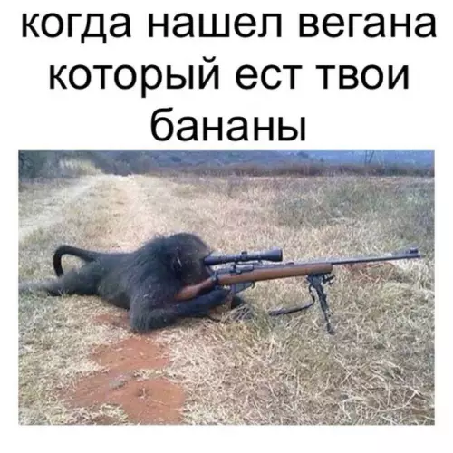 Смешная картинка №186487 веган