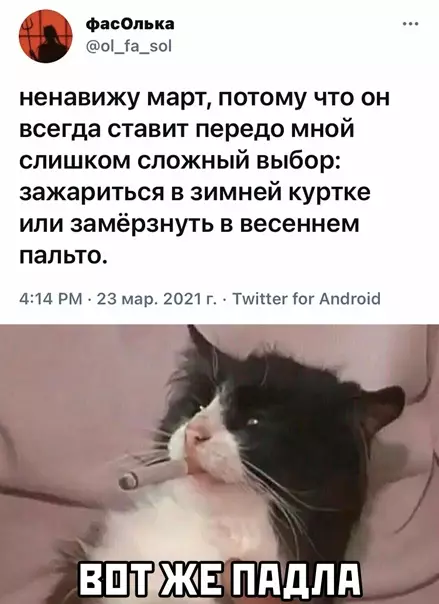 Смешная картинка №561782