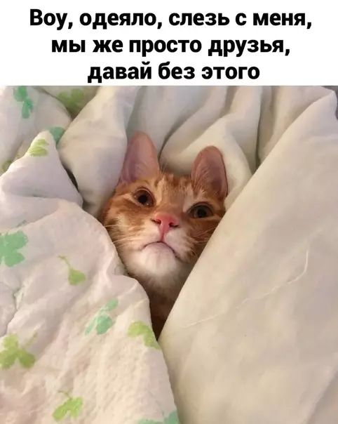 Смешная картинка №536545