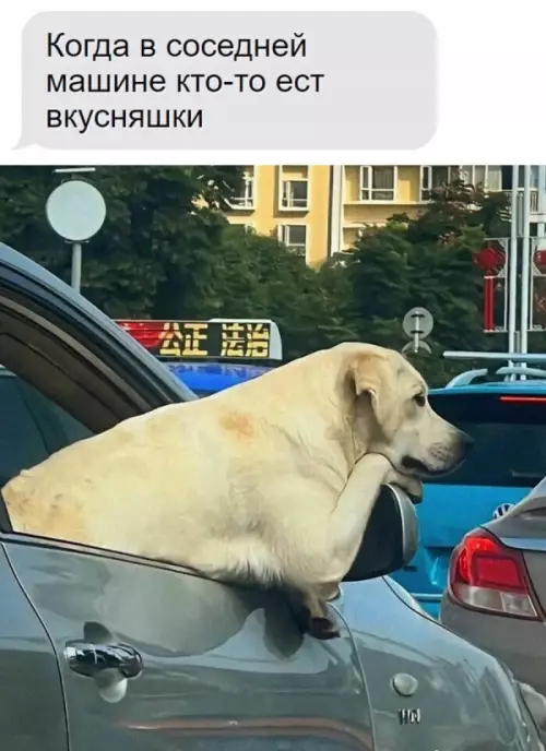 Смешная картинка №712435