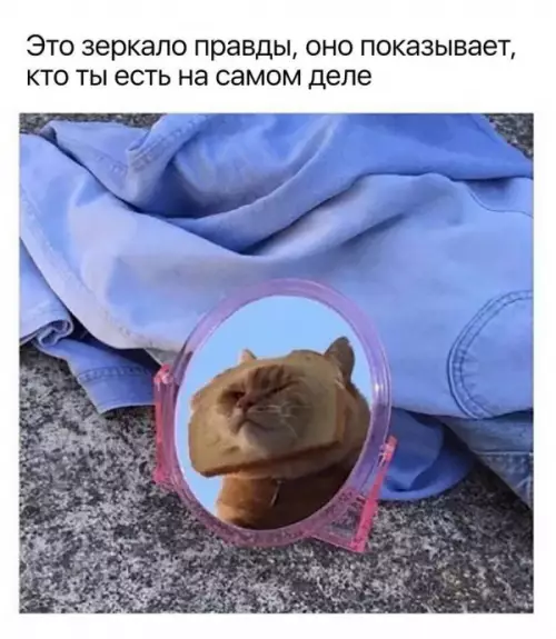 Смешная картинка №655828