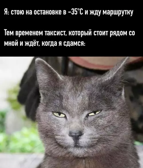 Смешная картинка №623091