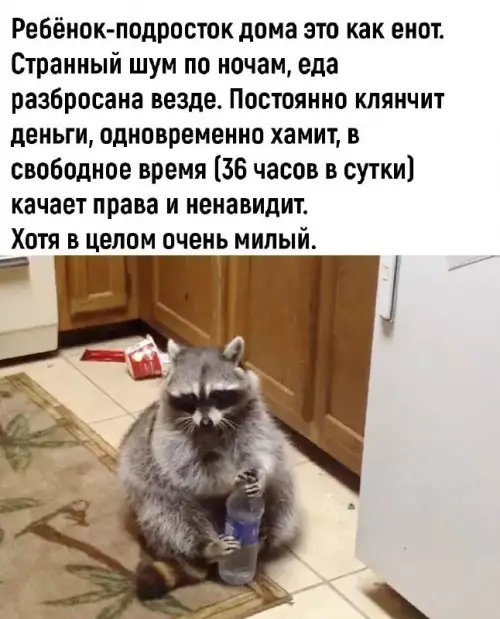 Смешная картинка №693988