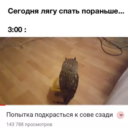 Смешная картинка №263218