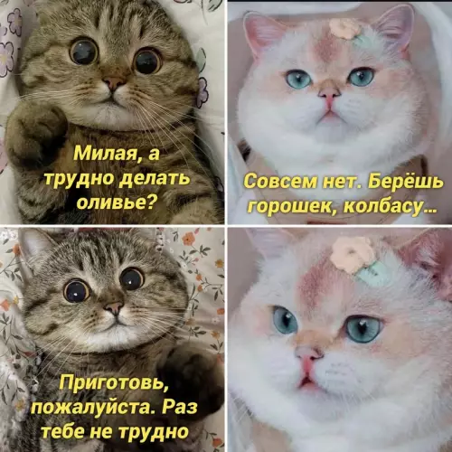 Смешная картинка №665210