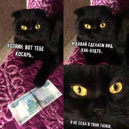 Смешная картинка №262480