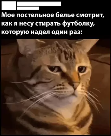 Смешная картинка №747561