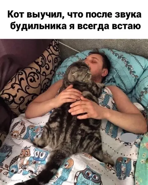 Смешная картинка №525565 Слишком мило:3