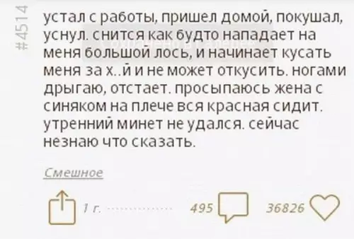 Смешной сон о лосе