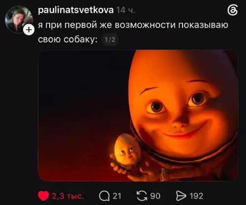 Когда собака — это твой главный контент 🐶✨ - я при первой же возможности показываю свою собаку: 1 2