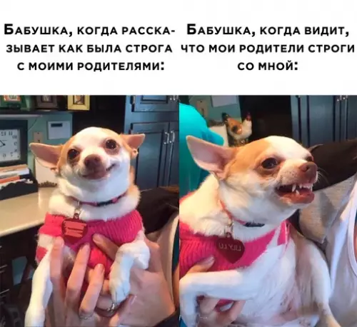 Смешная картинка №647346