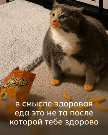 Логика уровня Бог 🐈🧀 - в смысле здоровая еда это не та после которой тебе