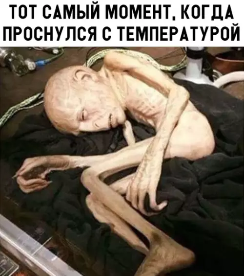 Смешная картинка №305640