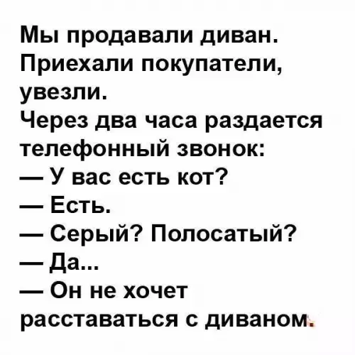 Смешная картинка №228262