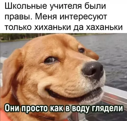 Когда решил забить на учебу ради фана 🐶✨ - Школьные учителя были правы. Меня интересуют только хиханьки да хаханьки.