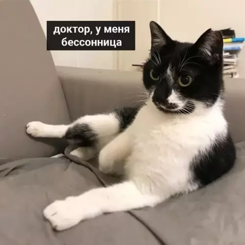 Смешная картинка №505743