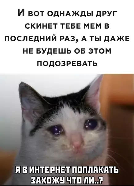 Смешная картинка №492224