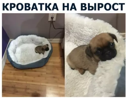 Смешная картинка №284089