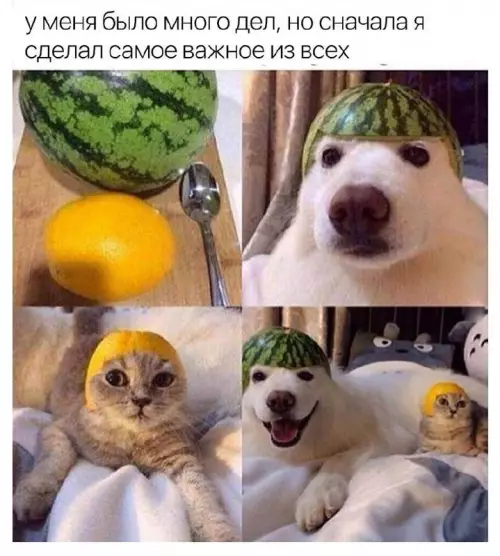 Смешная картинка №677744