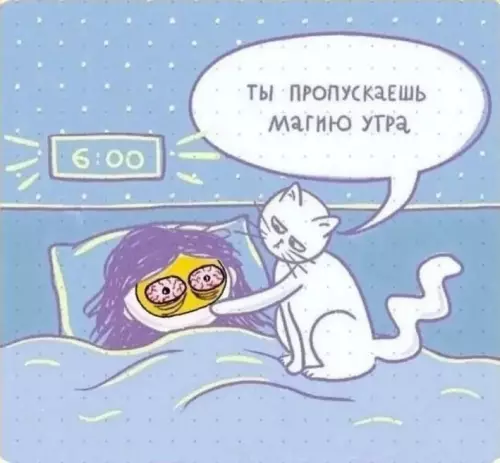 Котик и волшебное утро