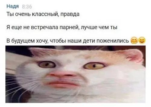 Смешная картинка №484551
